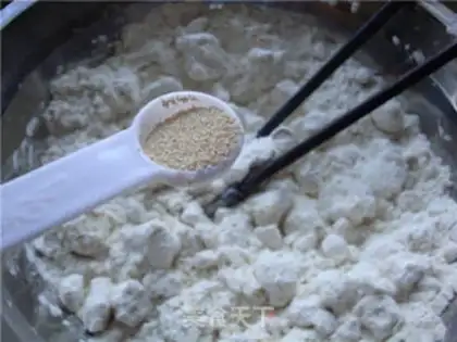 Make Soybean step 2