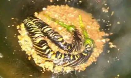 Make Smack eggplant step 3