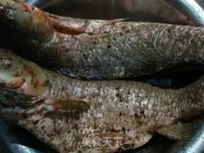 Make Homemade lake fish step 7