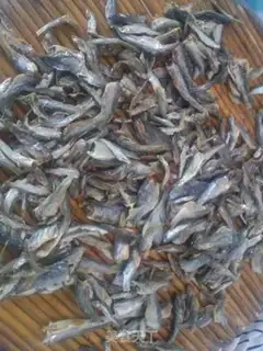Make Little fish step 0