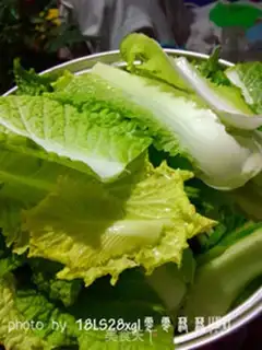 Make Pelican cabbage step 0