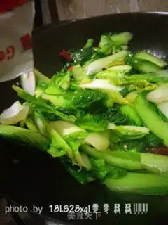 Make Pelican cabbage step 5