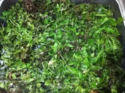 Make The jade leaves in Gangnam step 1