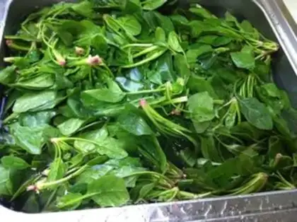Make The jade leaves in Gangnam step 2