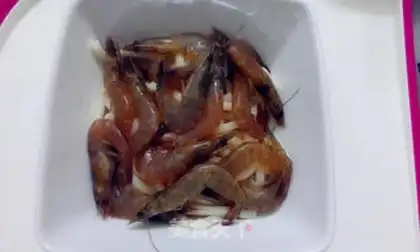 Make Shrimp step 14