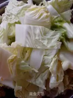 Make Homemade cabbage step 0