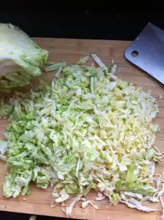Make dumplings step 0