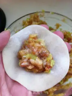 Make dumplings step 8