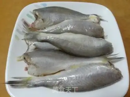 Make Squirt fish step 0