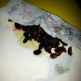 Make raisin walnut scone step 0