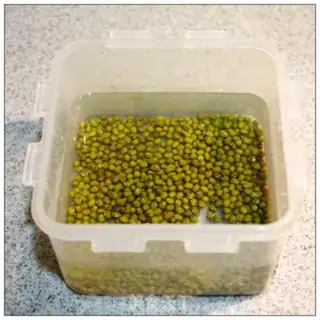 Make Homemade green bean buds step 0