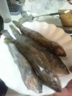 Make They always burn yellow fish step 0