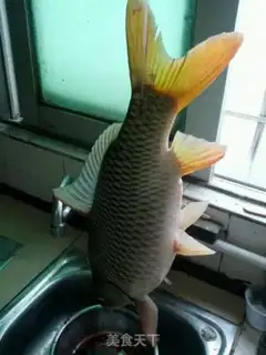 Make Carp fire step 0