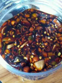 Make Carp fire step 16