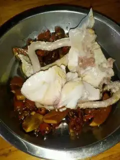 Make Carp fire step 17
