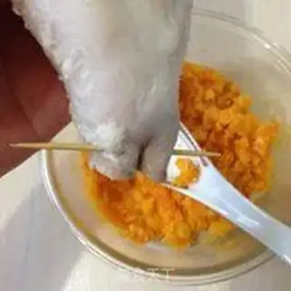 Make A pig