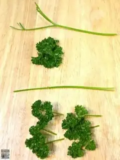Make Homemade celery step 14