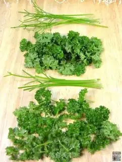 Make Homemade celery step 15