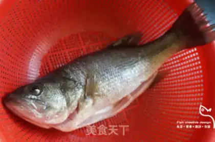Make Three-smelling bass step 0