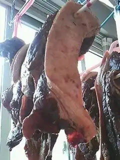 Make Homemade meat step 1