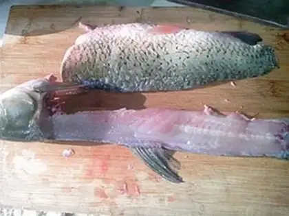 Make Sourfish step 7
