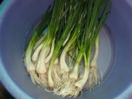 Make Sapling tofu and eggs step 0