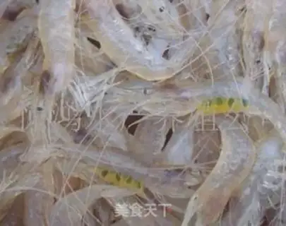 Make Shrimp step 0