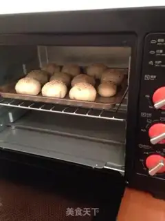 Make Plumcakes step 16
