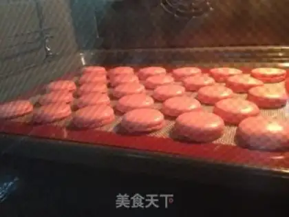 Make Italian Macalon step 10