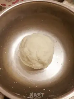 Make Protein coconut ball step 4