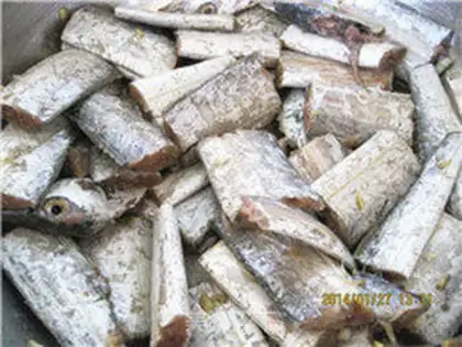 Make Fried fish step 1