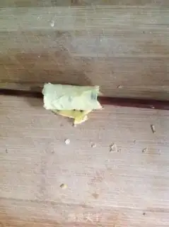 Make Mini sesame egg rolls step 10