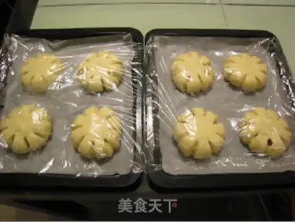 Make Red Bean Sand Bread step 18