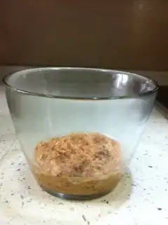 Make Mother-child creative children