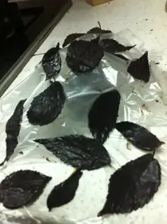 Make Chocolate milk double cake step 9