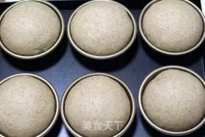 Make Whole wheat bread step 3