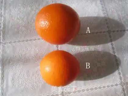 Make Sugar cream oranges step 0