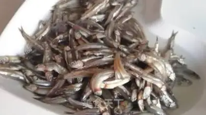 Make Spicy fish step 0