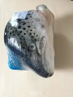Make A salmon head step 0