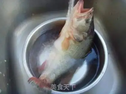 Make Squirrel fish step 0