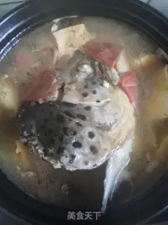 Make A salmon head step 8