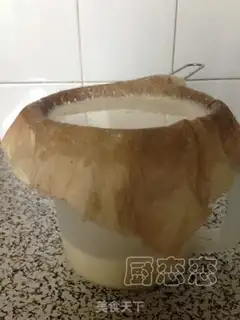 Make Halogenated tofu step 1