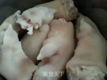 Make Soy, pig hoof step 2