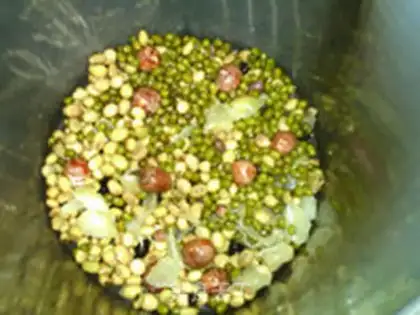 Make Green bean lily lotion step 2