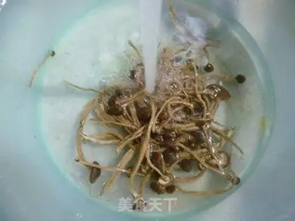 Make Tea mushrooms step 3