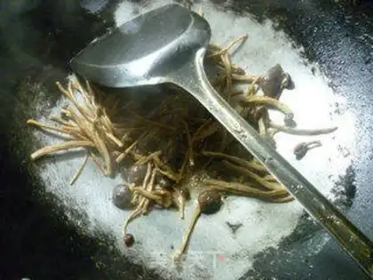 Make Tea mushrooms step 5