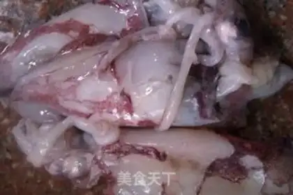 Make Squid celery step 0