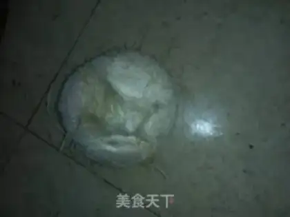 Make Coconut step 0