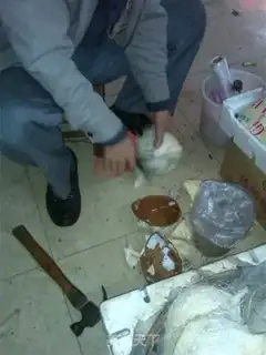 Make Coconut step 2