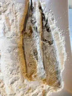 Make Spoonfish step 3